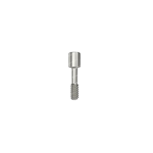Tornillo Protético para Pilar - Hexágono Interno (NP)