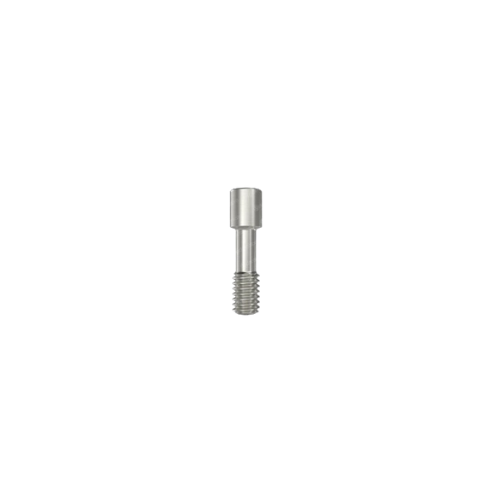 Tornillo Protético para Pilar - Hexágono Interno (SP)