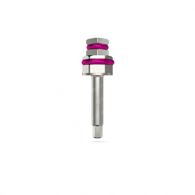 Adaptador de destornillador hexagonal con trinquete de 2.1 mm: hexagonal interno (NP)